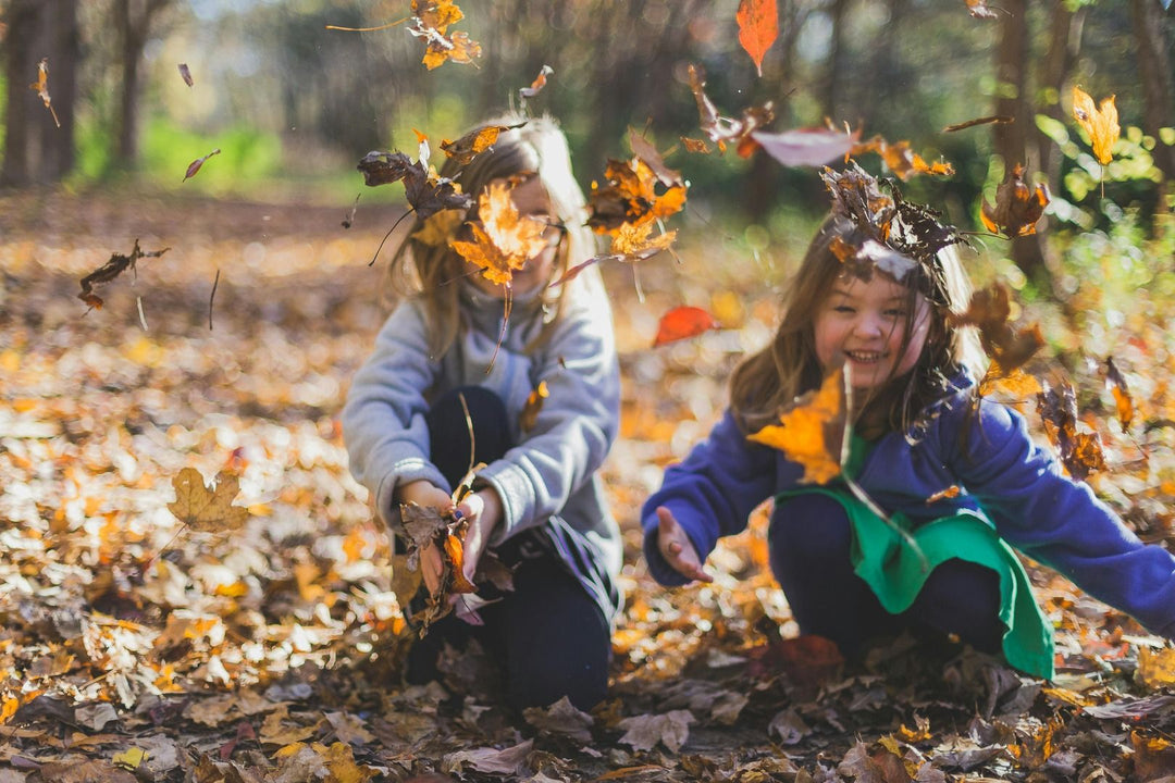 Autumn Nature Escapes: Unlocking Educational Opportunities in the Great Outdoors